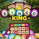 Картинка Bingo King