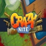 Игра Крейзинит.io | Crazynite.io