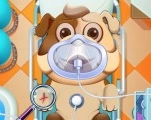 Игра Дневной Уход за животными | Animal Daycare