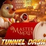 Игра Мастер Морли: Туннель Дэш